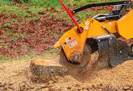 Best Tree Preservation Services  in Munfordville, KY