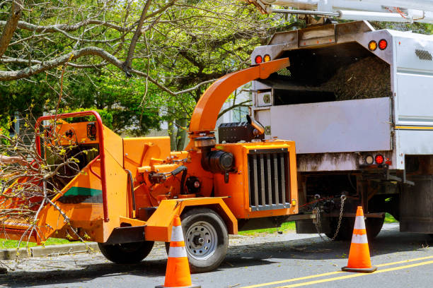 Best Firewood Processing and Delivery  in Munfordville, KY