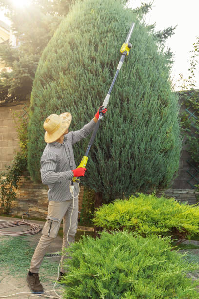 Best Lawn Watering Services  in Munfordville, KY